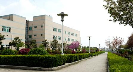 GS2344 德國撒斯特
